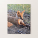 Search for fox puzzles Tree