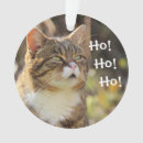 Search for fluffy ornaments Kitten