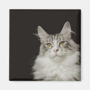 Recherche de douceurs magnets Nature