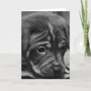 Search for puppy face cards Black