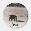 Search for barn animals magnets Cows