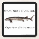 Search for mens coasters Happy birthday
