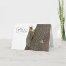 Search for squirrel hello cards Animal