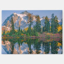 Search for mirrored magnets Autumn