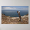 Search for channel islands posters Pacific