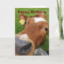 Search for to moo birthday cards Farm