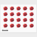 Search for memorial day stickers Poppy