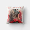 Recherche de afghan coussins Chien