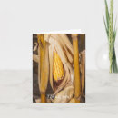 Search for corn vegetable cards Farm