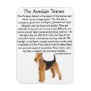 Recherche de airedales magnets Chien
