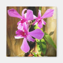 Recherche de crete magnets Pour elle