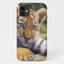 Search for endangered species iphone cases Tiger