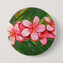 Recherche de plumeria badges Jaune