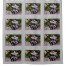 Search for frog patterns For her