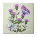 Recherche de chardons carreaux Papillon