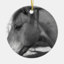 Search for black horse ornaments White