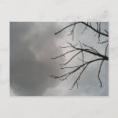 Recherche de nuages gris cartes postales Ciel