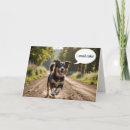 Recherche de odeur vœux cartes Dog