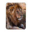 Recherche de réservation magnets Animal