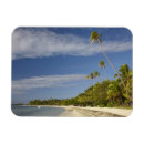Search for plantation magnets Fiji