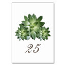 Search for succulents table cards Modern