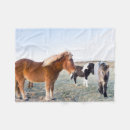 Search for icelandic horses blankets Ranch