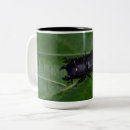 Search for beetles mugs Coleoptera