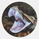 Recherche de vipère autocollants Serpent