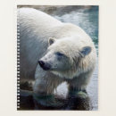 Recherche de arctique bureau fournitures Fourrure