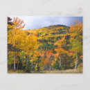 Search for aspen postcards Rocky mountains