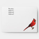 Search for cardinalis Bird