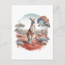 Recherche de kangourous cartes postales Nature
