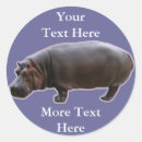 Search for horse photo stickers Animal