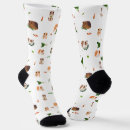 Search for guinea pig socks Rodent
