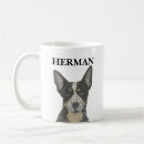 Recherche de heeler bleu Hélier