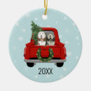 Search for bearded collie Pets
