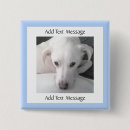 Recherche de races badges Mignon