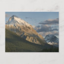 Search for klasse postcards Land