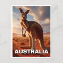 Search for kangaroos postcards Souvenir
