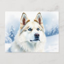 Search for huskies postcards Animal