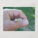 Recherche de gopher posters Reptiles