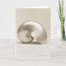 Search for nautilus cards Seashell