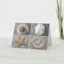 Search for florida shells cards Starfish