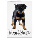 Search for rottweiler mommy postcards Puppy
