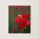 Recherche de pavots puzzles Rouge