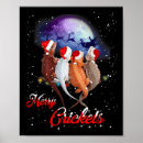 Search for cricket posters Birthday