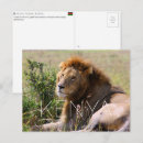 Recherche de masai mara cartes postales Kenya
