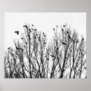 Search for bird silhouette art Minimalist