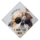 Recherche de tzu shih accessoires Chien