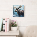 Search for moose clocks Animals